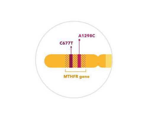 强制循环泵型号及参数,趁热吃其实不健康
