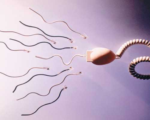 什么叫做精神氮泵,和水瓶座的恋爱攻略