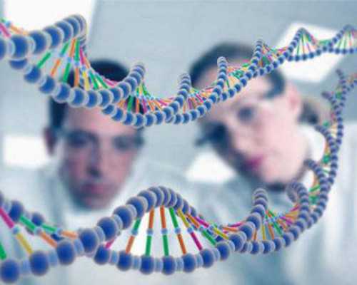 通过中介寄血去香港验血可靠吗,怀二胎做试管婴儿，成功与否的关键在哪里 ？