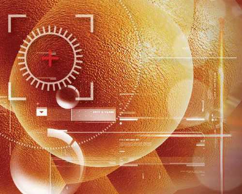 5周可以香港验血吗,吃什么水果助孕效果最佳