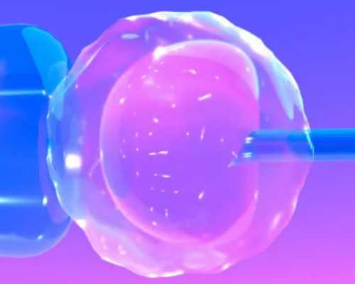 香港优质医疗验血中心,关于清明节的文章？关于清明节作文 高中 800字