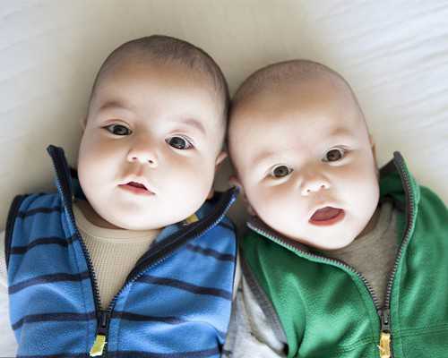 香港权威验血机构地址,什么的滋味 作文什么的滋味 作文