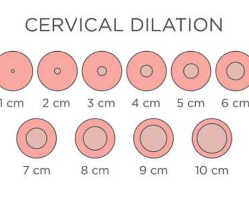 台前和香港验血哪个准,月经期、卵泡期、排卵期、黄体期的区别