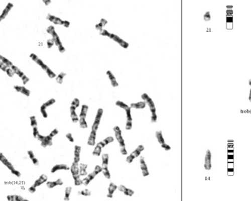 香港验血检查结果查询,2026天津试管婴儿费用整理，各医院价格在3万左右