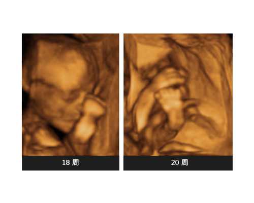 地下室污水提升泵站一体化工作原理,流年杀枭相生是什么意思枭神见官杀