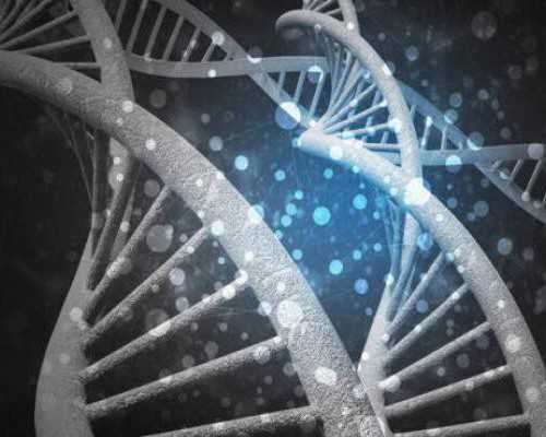 香港验血鉴定男女官网,女性备孕期间吃什么水果好呢？