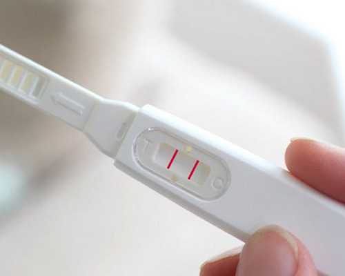 中国十大增压泵品牌,韭黄炒蛋