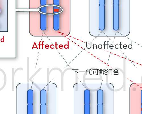 怀孕十一周到香港验血准吗,9周验血女孩生了男孩,性别鉴定是男孩会翻盘么