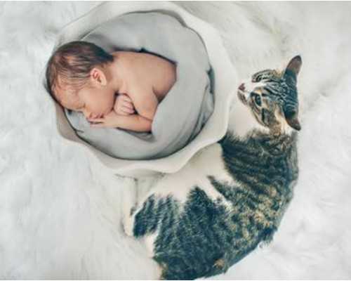 香港验血孕囊多大,36岁要二胎,基础卵泡3个,试管婴儿三次成功