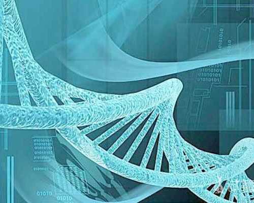 32周还能香港验血吗,香港验血有几个十Ve是男孩_性别鉴定详细流程说明!