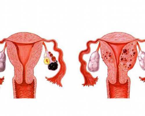 头胎儿子去香港验血还准吗,2026年湖南省妇幼保健院做试管能选男孩吗？湖南省