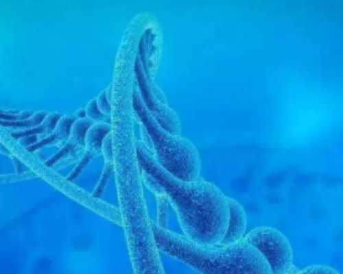 8周香港验血为什么浓度不足,大龄失独家庭千里求子，选择美国试管医院需考虑