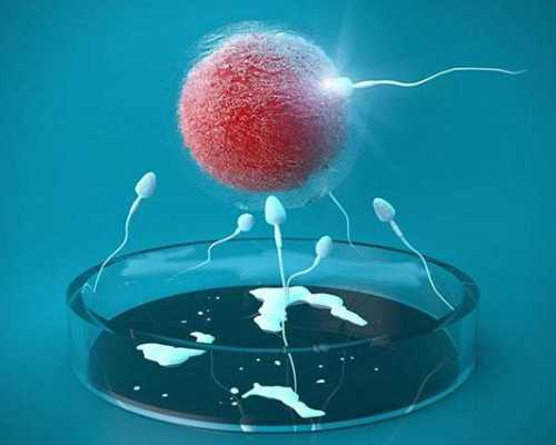 多巴胺静脉泵入作用,免费测命工作方向最佳八字发展