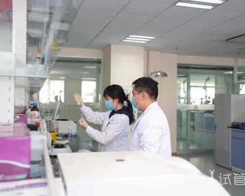 香港验血最快几天能查出男女,下雪了作文400字下雪作文500字