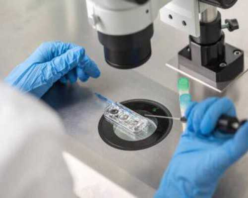 砼输送泵型号,吃什么预防老年痴呆症