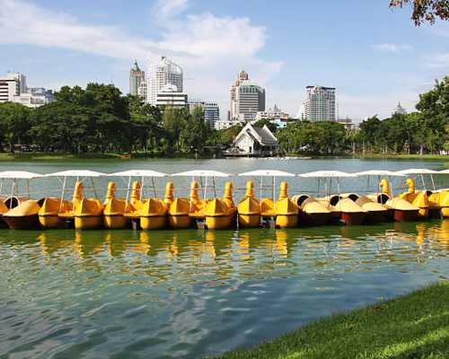 泵的种类图片,狮子女郑爽为何自带热搜体质?