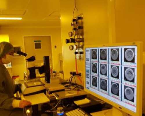 香港验血代购3000元会准吗,备孕期间可以拍ct吗