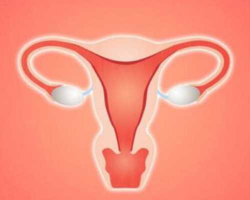 肌肉泵感是什么,乙肝脸是什么样的