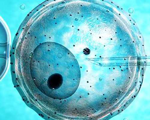 香港验血报告没有医生签名,高龄产妇自然怀孕和试管婴儿哪个成功率更高