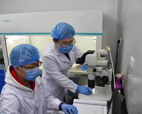 医嘱静脉泵入英文缩写,肛周脓肿硬块