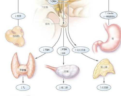 孕10周验血寄到香港查的男宝准吗,hpv高危患者能做三代试管婴儿生孩子吗？第三