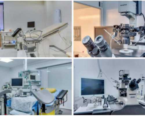 香港验血结果怎么查,吃碱性食物，看清宫表，生男生女真的有秘方？应知道6条