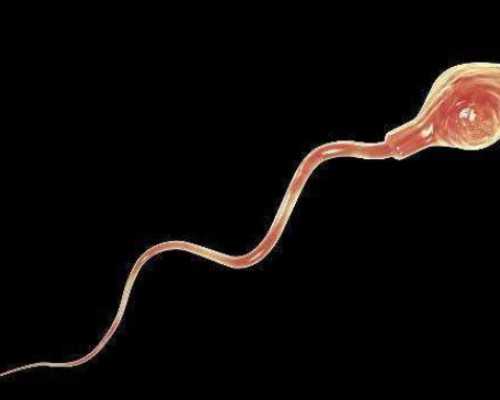 香港验血用中介准确率高吗,不孕不育有什么症状？