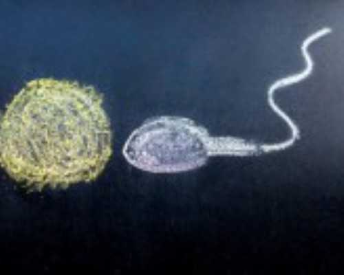 香港验血邮寄抽血去哪里抽,并不是100%怀孕!男性少精弱精患者试管婴儿成功率