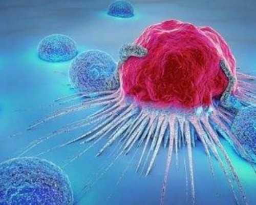 寄到香港验血做的阴超可以吗,备孕经验分享 女性孕酮低怎么办