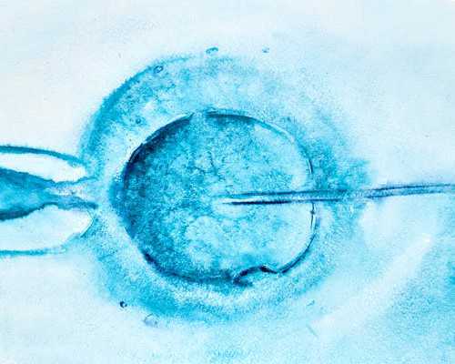 深井潜水泵,苏珊米勒每日星座运势，15