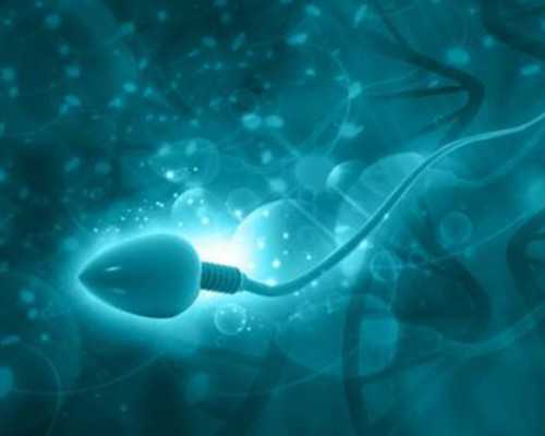 泵友圈,金牛女大双子男7岁年龄差如何包容