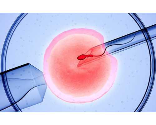 香港验血两家不同结果不同,划重点！三代试管各个环节的食谱干货