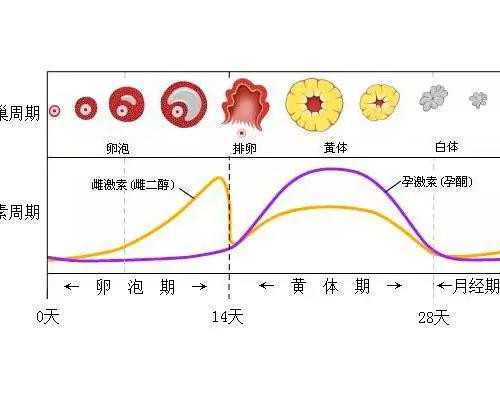 香港抽血验血准么,libra香港验血报告_你想知道的都在这里!
