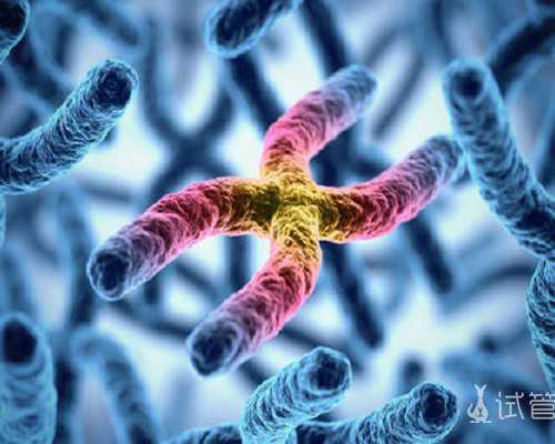 香港验血几天出结果真实的,泰国试管婴儿冷冻胚胎移植是怎么回事?