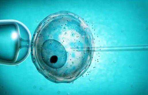 香港验血需要多大孕囊,试管婴儿自然周期方案卵泡不长原因？